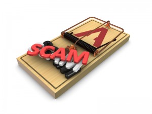 Domain name scam 