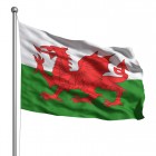 Welsh flag representing .cymru TLDs