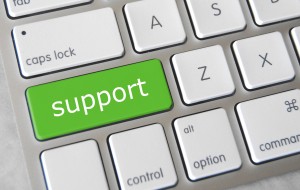WordPress support