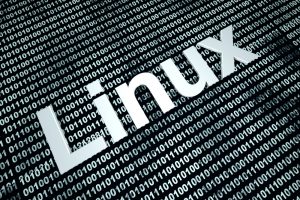 Linux_web_hosting